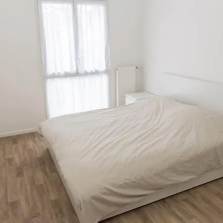 Large New -
